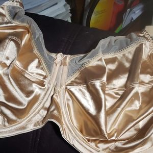 NWOT GODDESS Nude Bra Size 34N